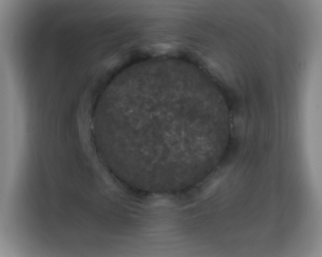 X0000113940913200910091619