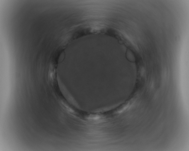 X0000113940914200910091619