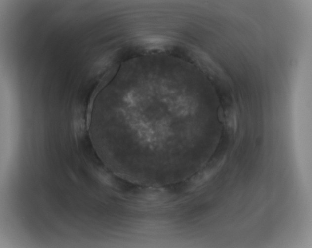 X0000113940916200910091619