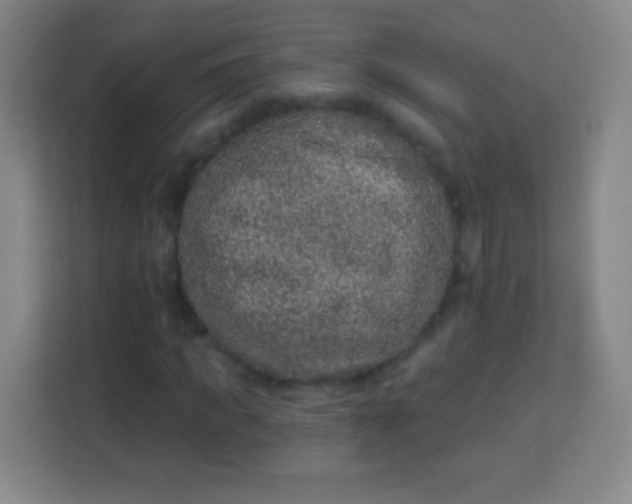 X0000113940917200910091619