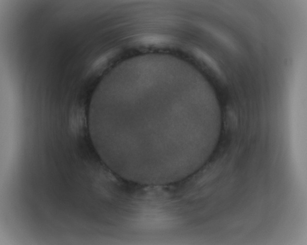 X0000113940918200910091619