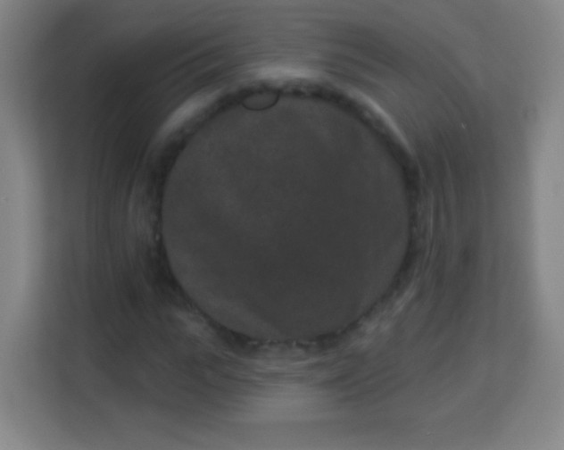 X0000113940919200910091619