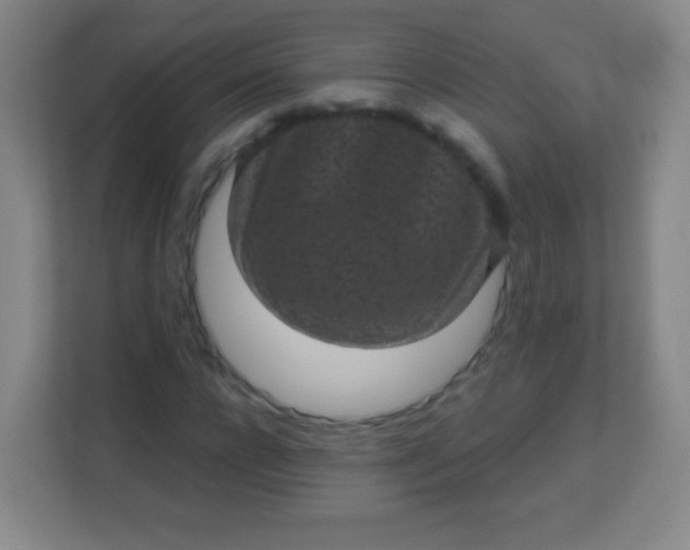 X0000113940920200910091619