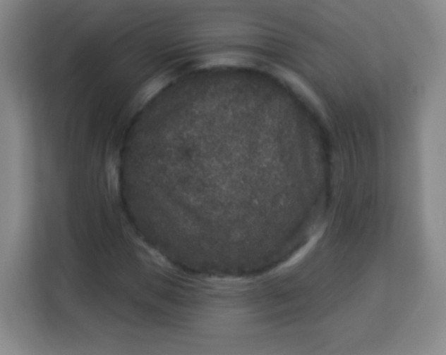 X0000113940921200910091619