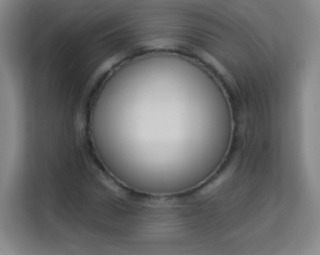 X0000113940922200910091620