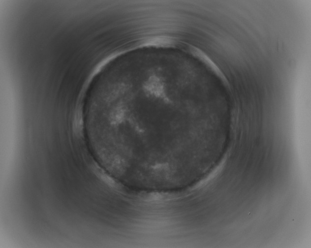 X0000113940923200910091620