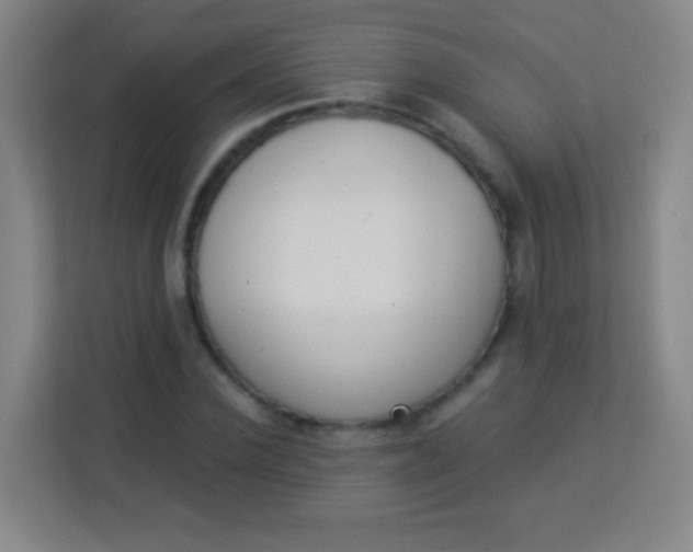 X0000113940924200910091620