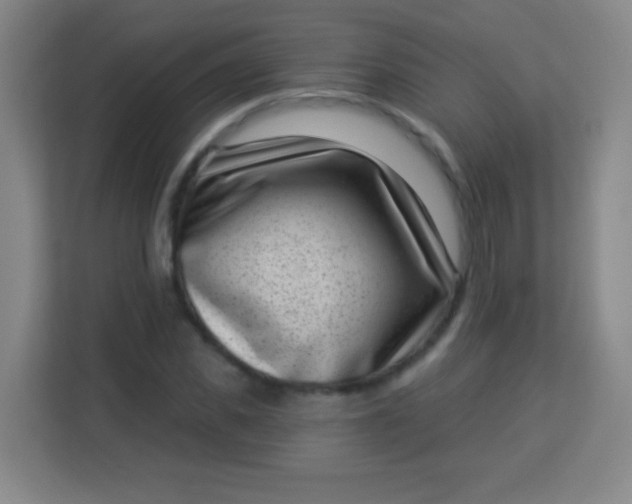 X0000113940925200910091620