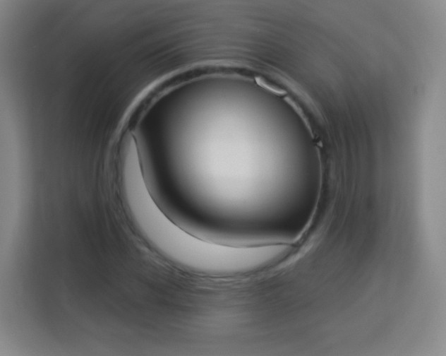 X0000113940926200910091620