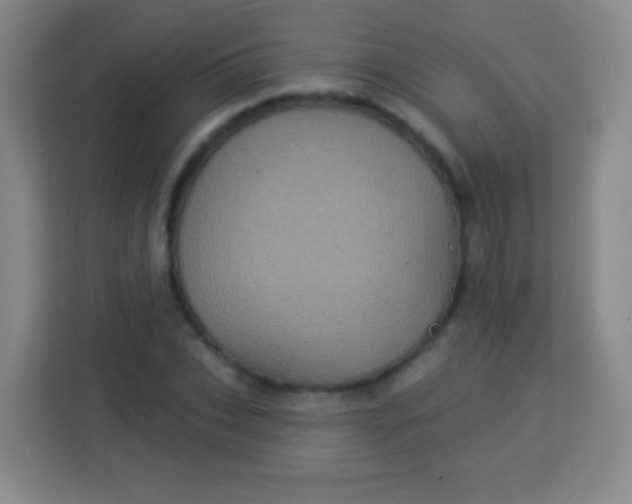 X0000113940927200910091620