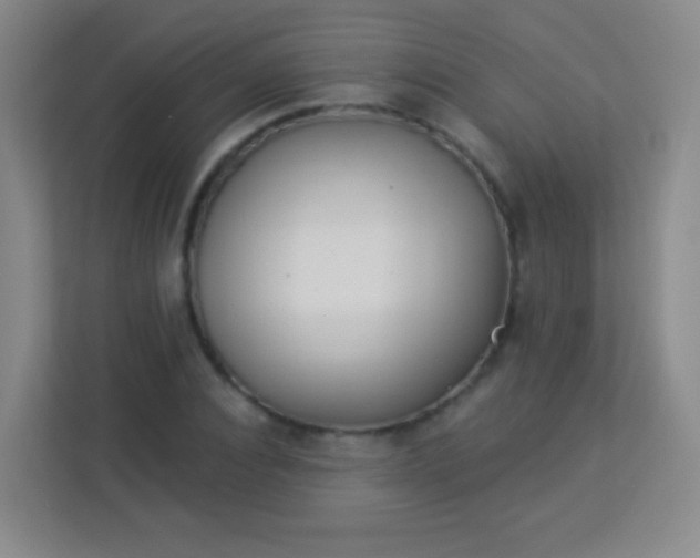 X0000113940928200910091620