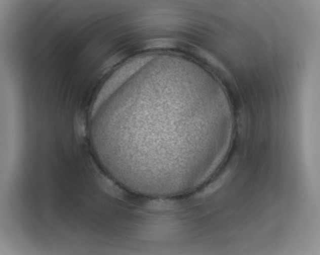 X0000113940929200910091620