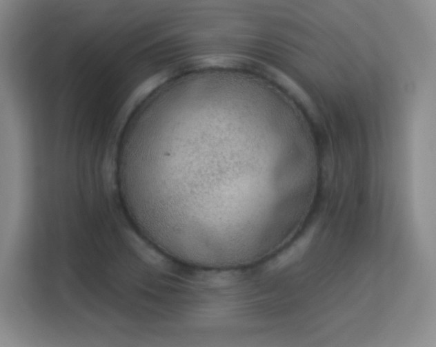 X0000113940930200910091620