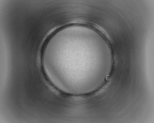 X0000113940931200910091620