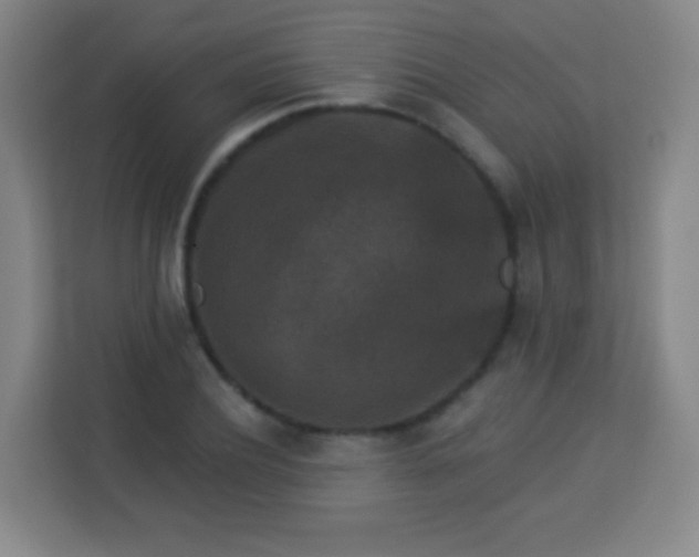 X0000113940932200910091620