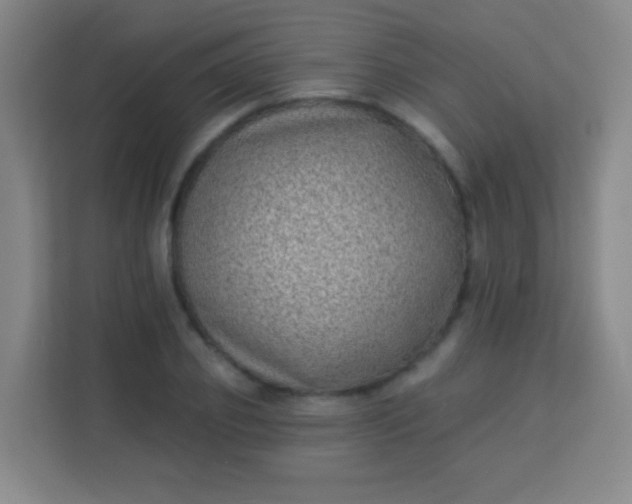 X0000113940933200910091620