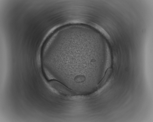 X0000113940934200910091620