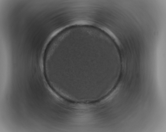 X0000113940935200910091620