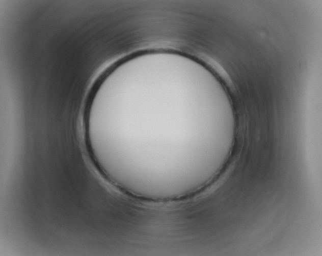 X0000113940936200910091620