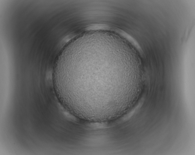 X0000113940937200910091620