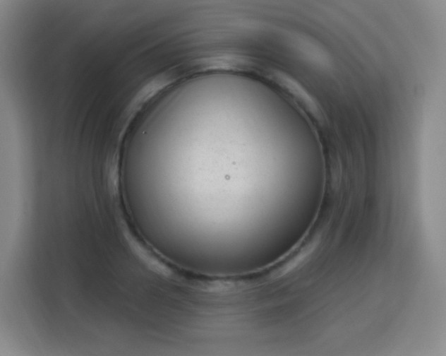 X0000113940938200910091620