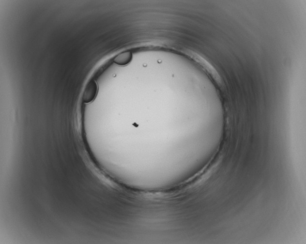 X0000113940940200910091620