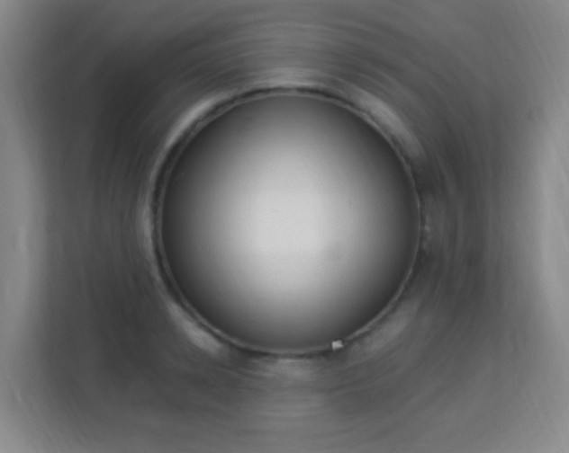 X0000113940942200910091620