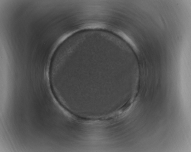 X0000113940943200910091620