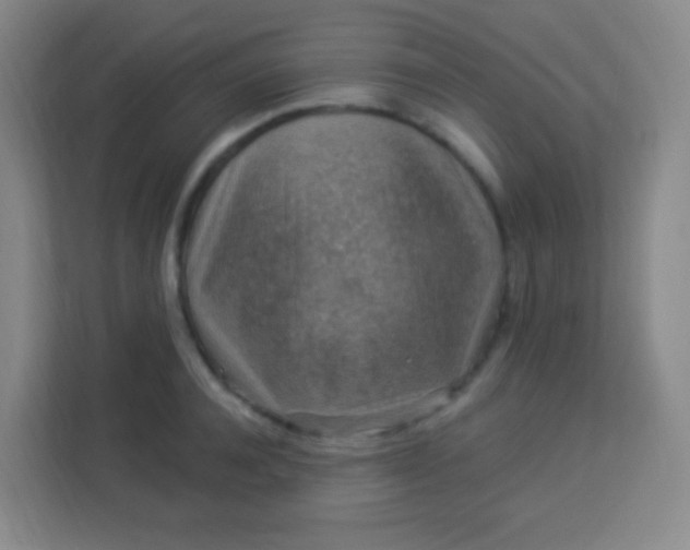 X0000113940944200910091620