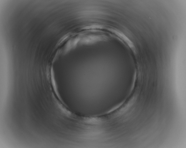 X0000113940945200910091620