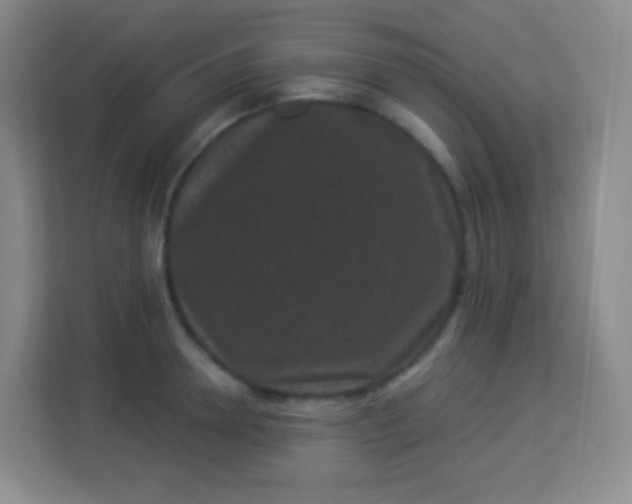 X0000113940946200910091620