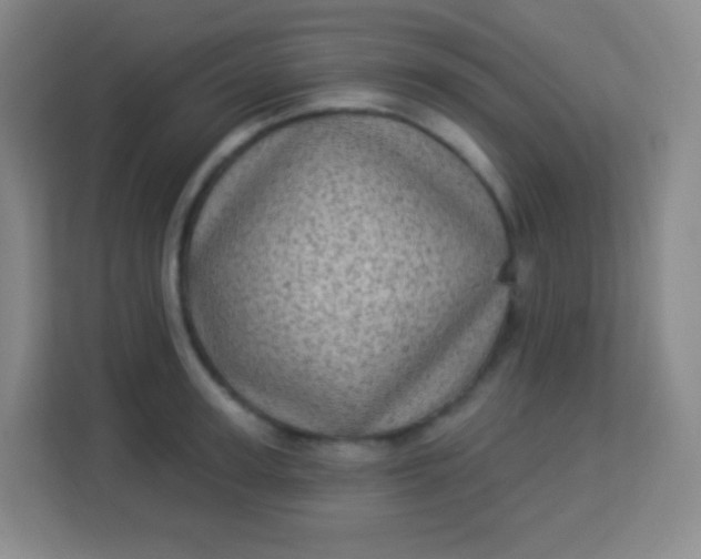 X0000113940947200910091620