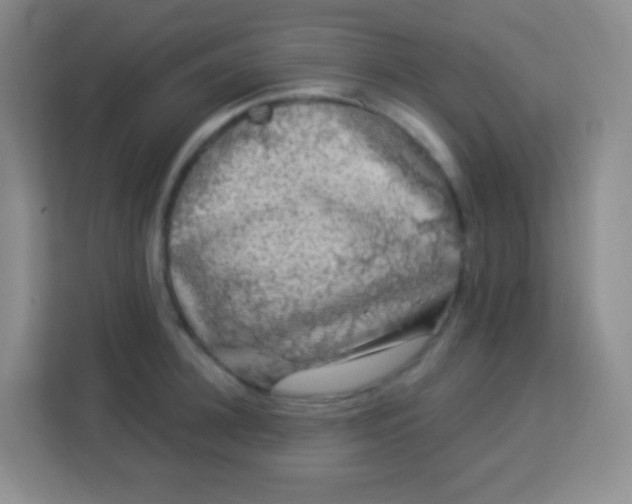 X0000113940948200910091620