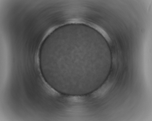 X0000113940950200910091620