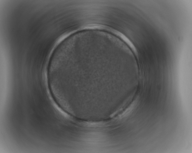 X0000113940951200910091620