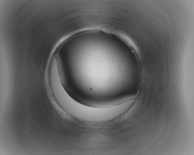 X0000113940952200910091620