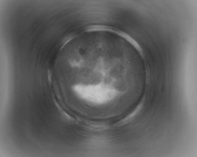 X0000113940953200910091620