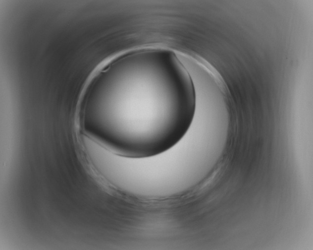 X0000113940956200910091620