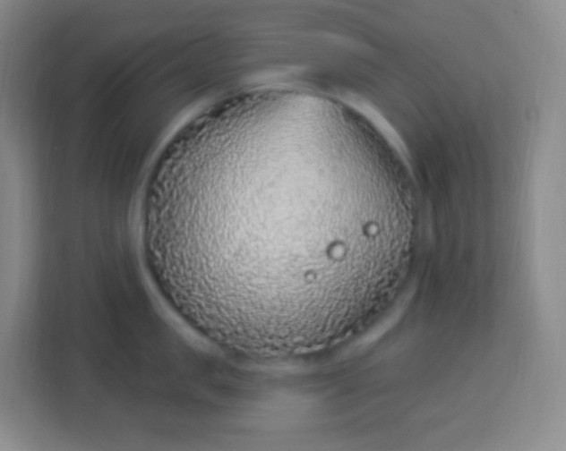 X0000113940957200910091620