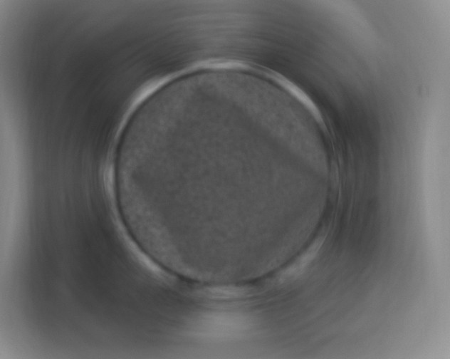 X0000113940959200910091620