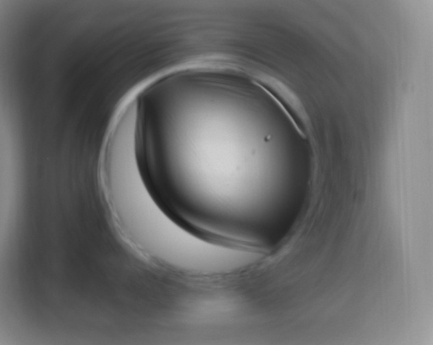 X0000113940960200910091620