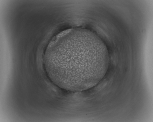 X0000113940961200910091619