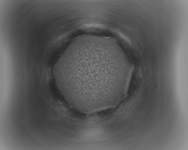 X0000113940965200910091619