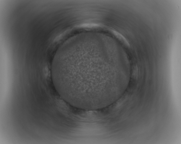 X0000113940966200910091619