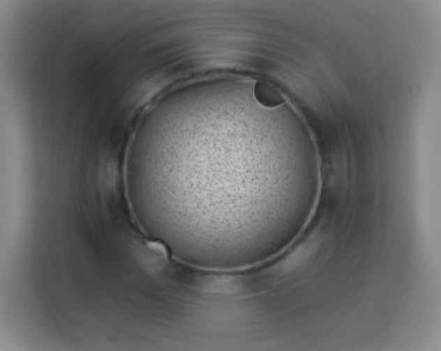 X0000113940969200910091619