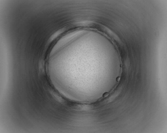 X0000113940970200910091619