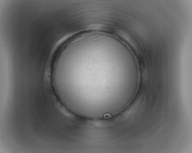 X0000113940971200910091619