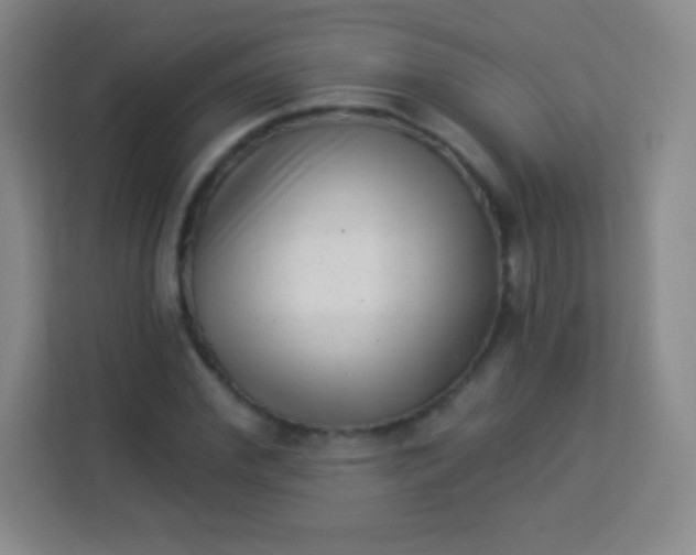 X0000113940972200910091619