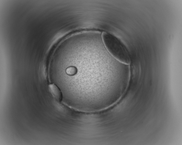 X0000113940973200910091619