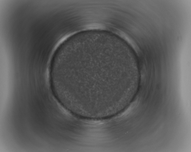 X0000113940975200910091619